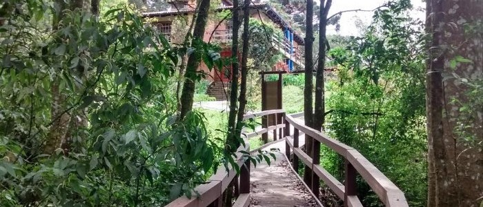 Foto de uma ponte em madeira em uma trilha arborizada